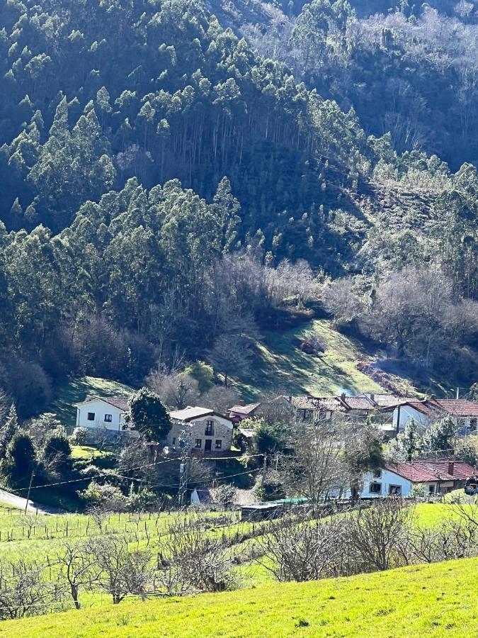 La Vierta Casa Rural Agroturismo Ribadesella Exterior foto